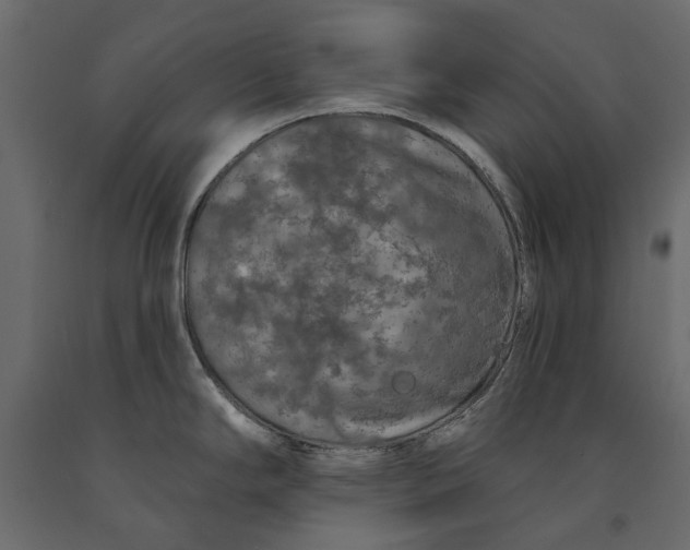 X0000090911294200708270957