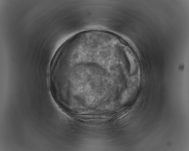 X0000090911295200708270957