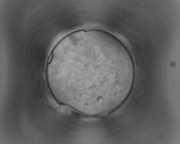 X0000090911296200708270957