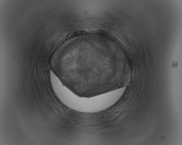 X0000090911298200708270956