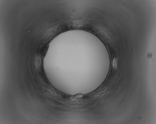 X0000090911299200708270956