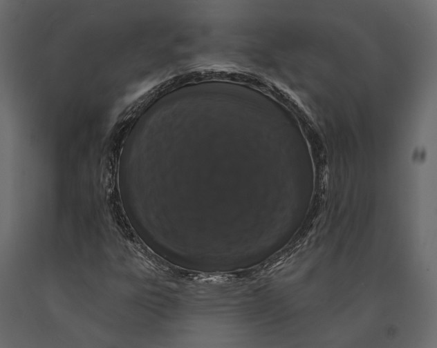 X0000090911303200708270957