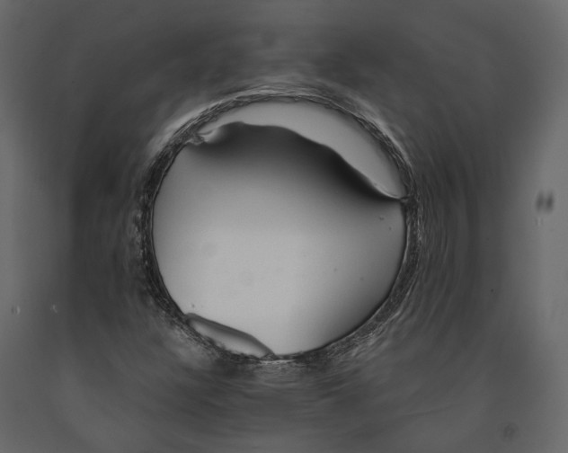 X0000090911304200708270957