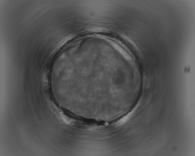 X0000090911305200708270957