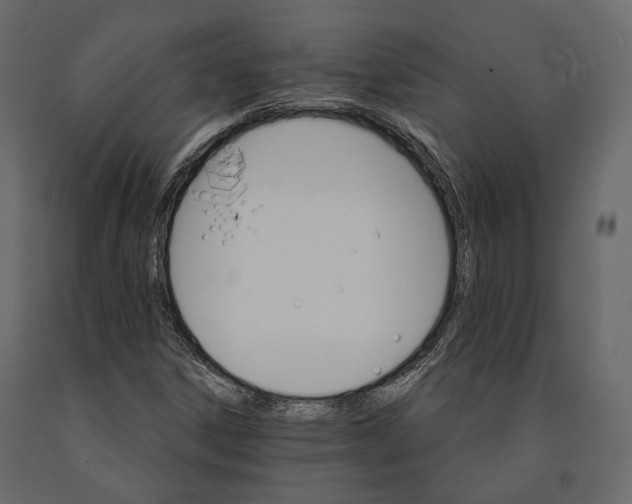 X0000090911306200708270957