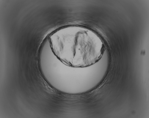 X0000090911308200708270957