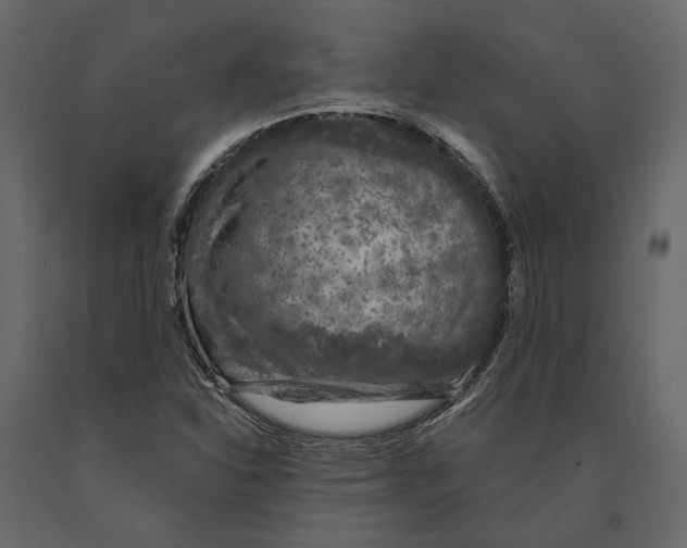 X0000090911310200708270957