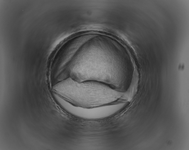 X0000090911312200708270957