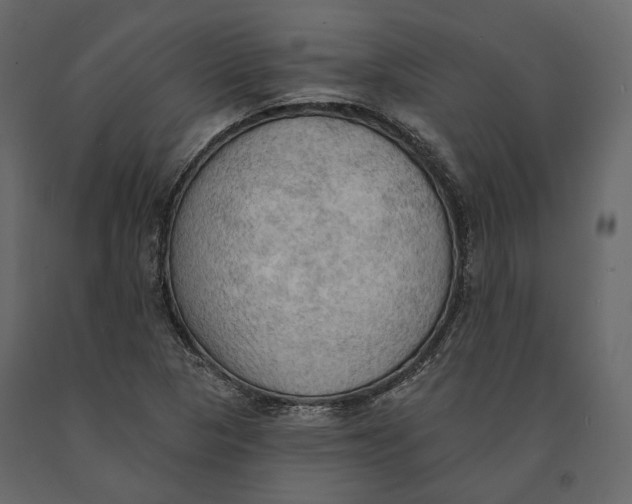 X0000090911313200708270957