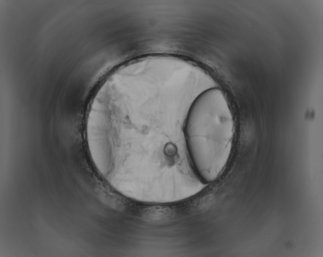 X0000090911314200708270957