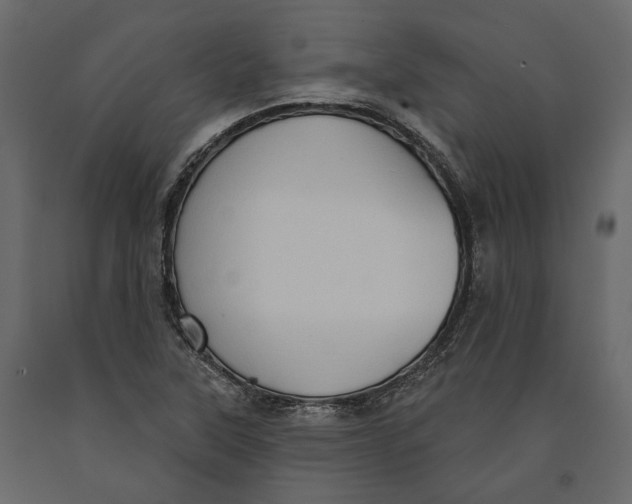 X0000090911315200708270957