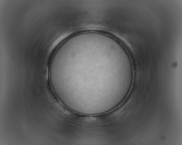 X0000090911317200708270957