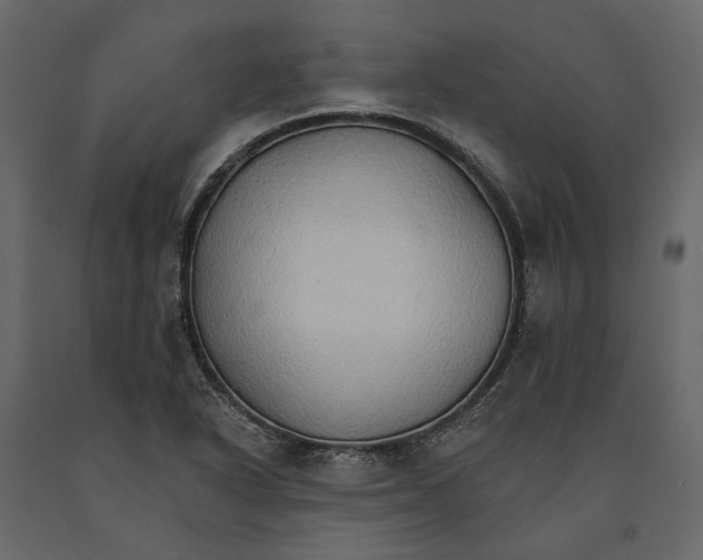 X0000090911318200708270957