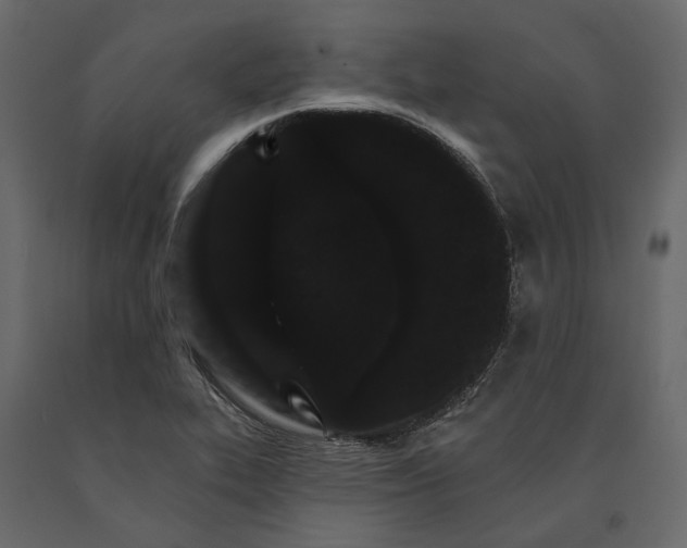 X0000090911319200708270957