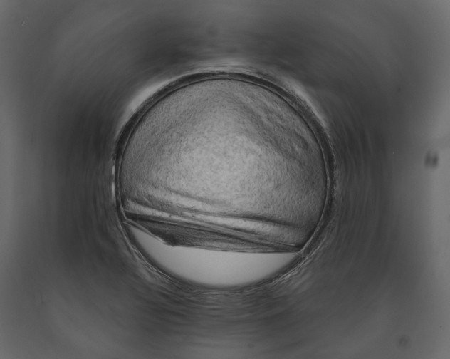 X0000090911320200708270957