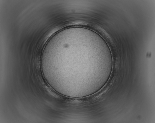 X0000090911321200708270957