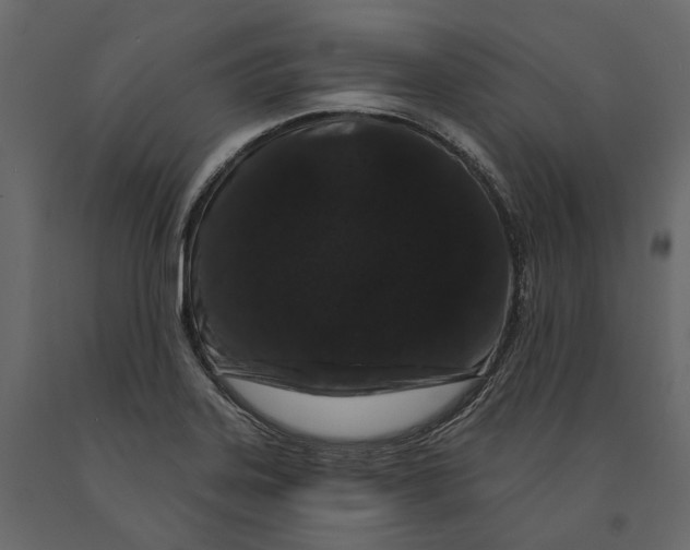 X0000090911323200708270957