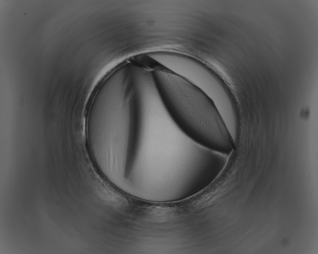 X0000090911324200708270957