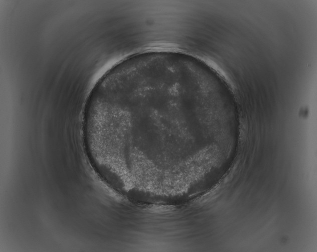 X0000090911325200708270957