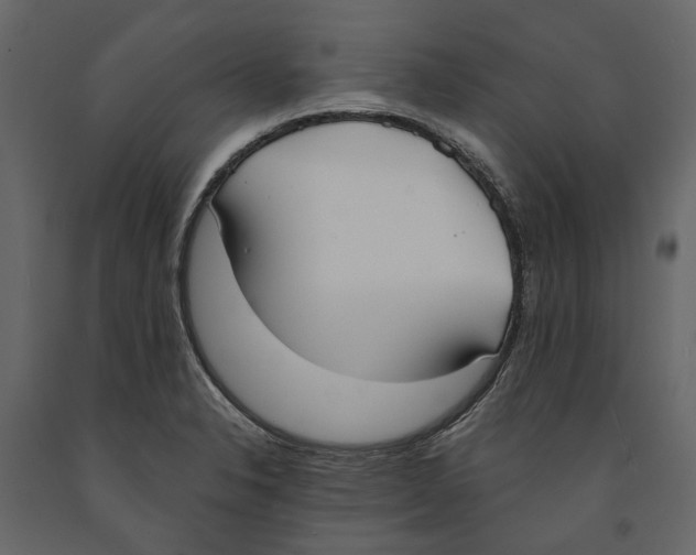 X0000090911326200708270957