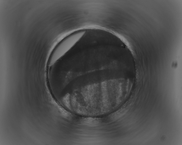 X0000090911327200708270957