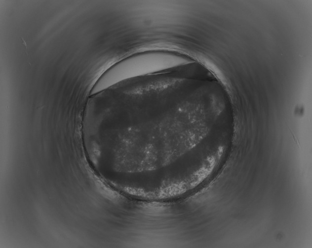 X0000090911329200708270957