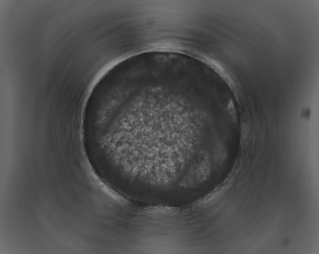 X0000090911331200708270957