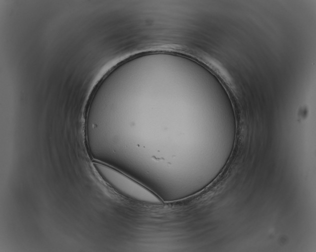 X0000090911332200708270957