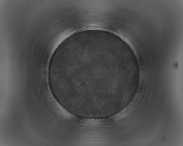 X0000090911333200708270957