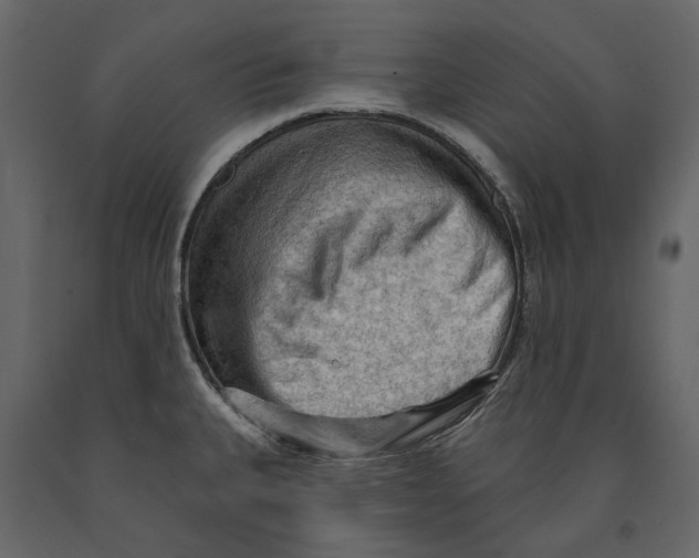 X0000090911335200708270957