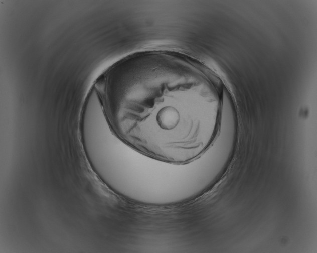 X0000090911336200708270957