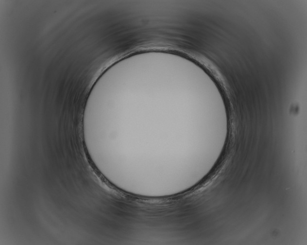 X0000090911337200708270957