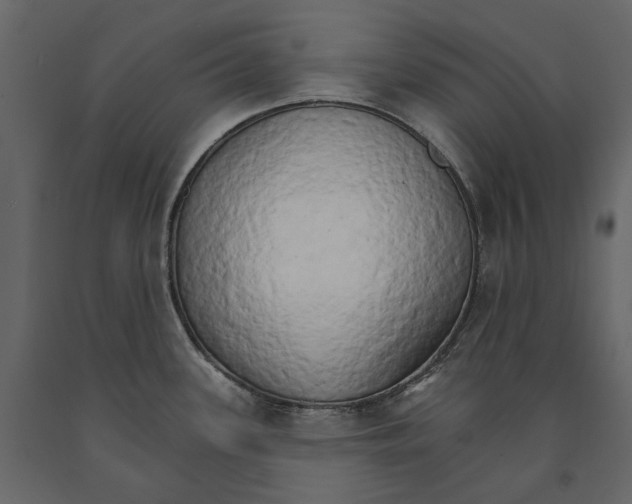 X0000090911339200708270957