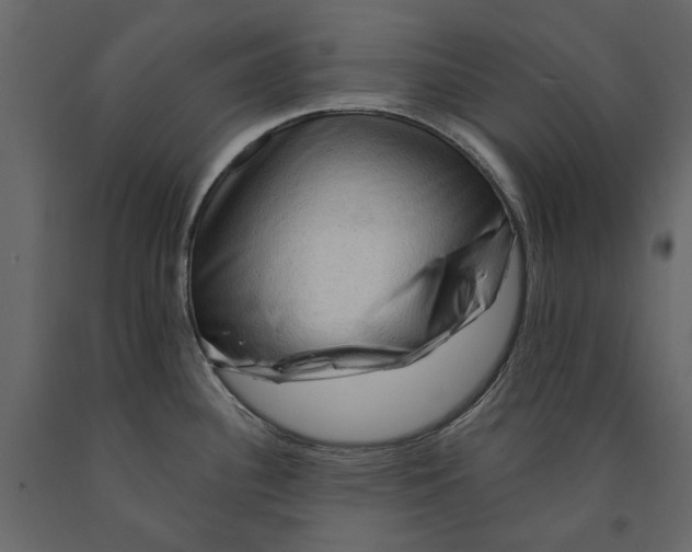 X0000090911340200708270957