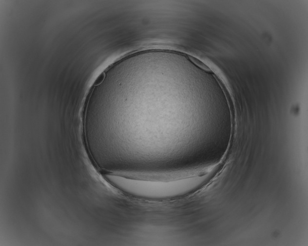 X0000090911341200708270957