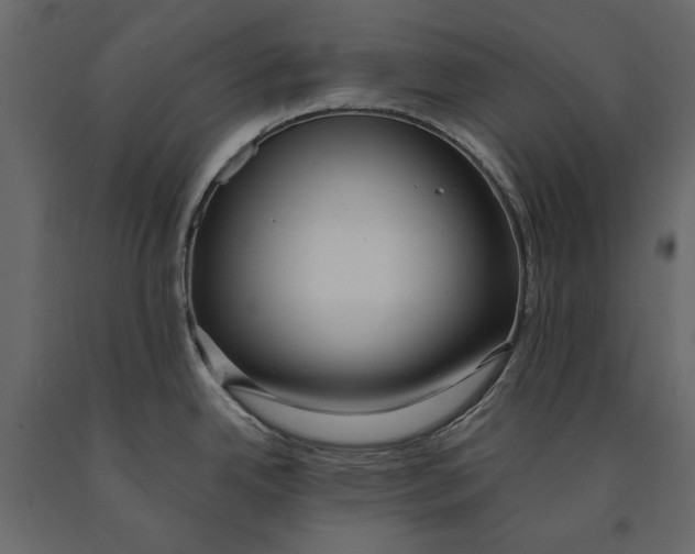 X0000090911342200708270957