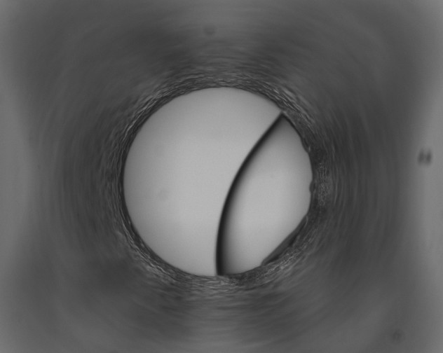 X0000090911345200708270956