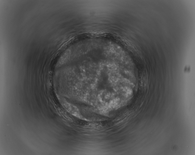 X0000090911346200708270956