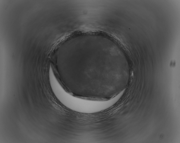 X0000090911348200708270956