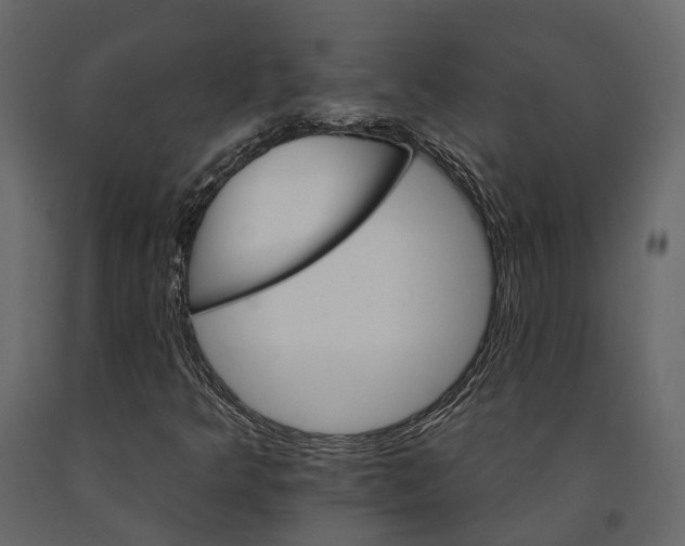 X0000090911349200708270956