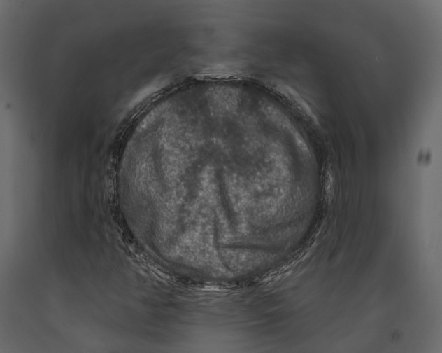 X0000090911350200708270956