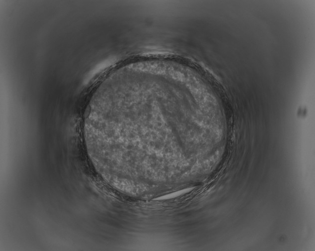 X0000090911351200708270956