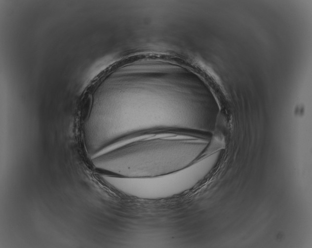 X0000090911352200708270956