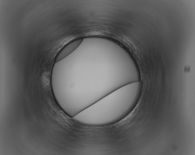 X0000090911353200708270956