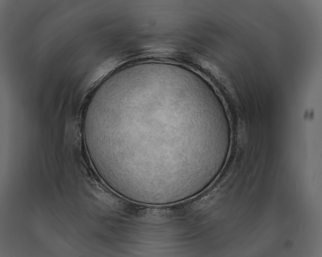 X0000090911354200708270956