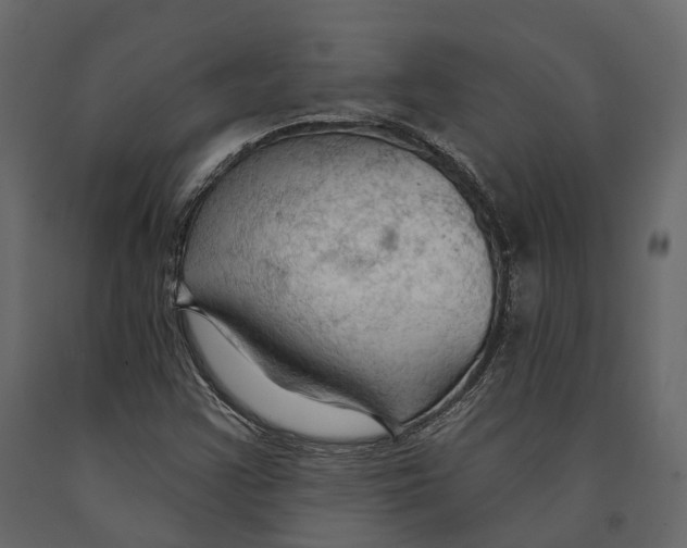 X0000090911355200708270956