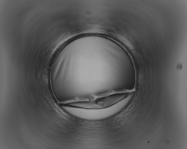 X0000090911356200708270956