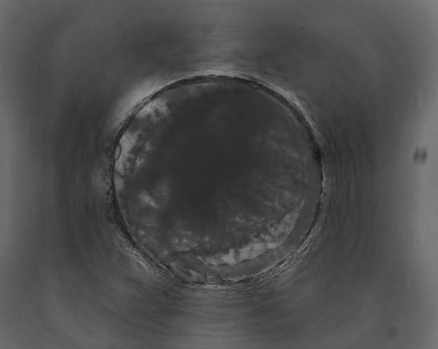 X0000090911359200708270956