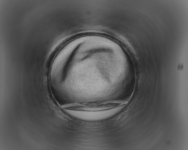 X0000090911360200708270956