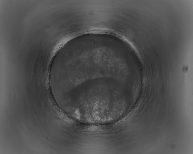 X0000090911362200708270956